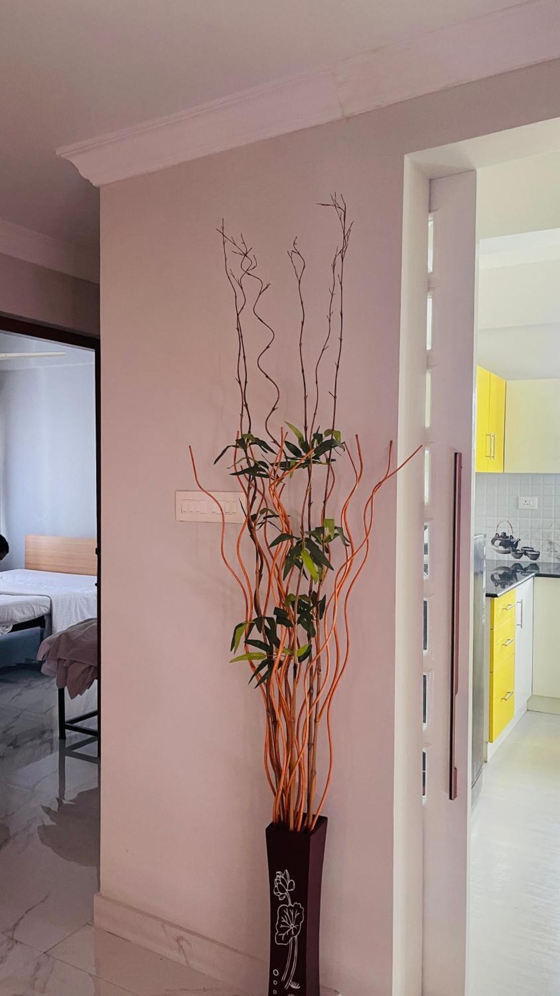 Rajamandiram 3bhk Ac In Trivandrum *